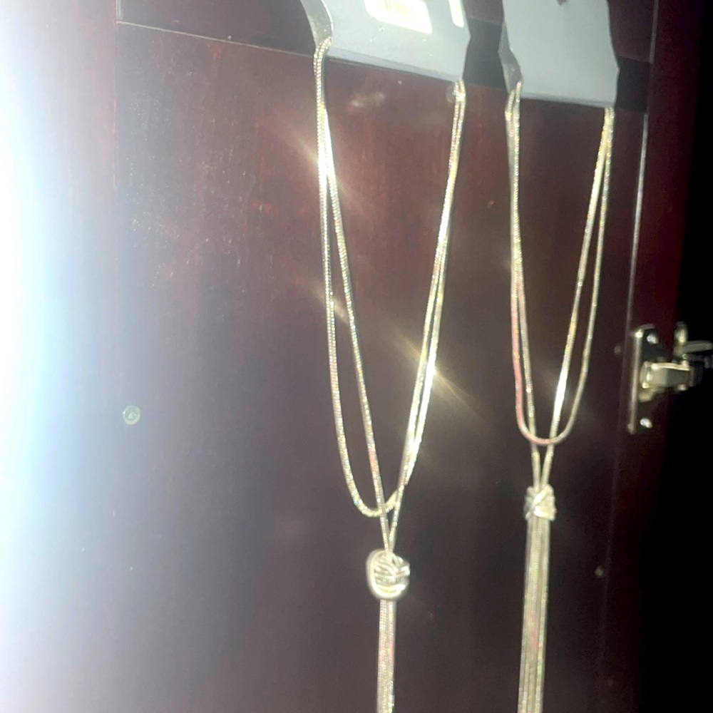 Express Yourself with Gorgeous Accessories NWT